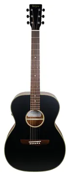 Rozini RX330EQFM Aço Preto Auditorium