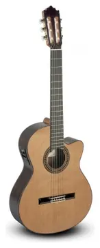 Paco Castillo 224CE