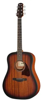 Ibanez AAD54E-OMH