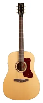 Norman B20 Natural GT Presys II