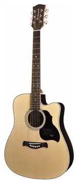 Richwood D60CE Westerngitaar met Element