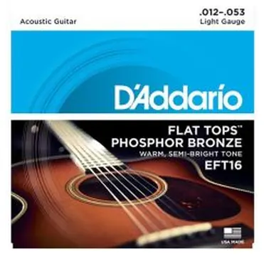 D'Addario Phospor Bronze Flat Top Acoustic Guitar Strings, Light, 012-053 EFT16