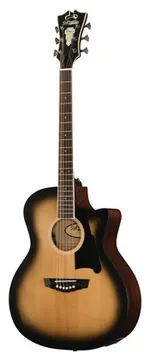 DAngelico Premier Gramercy Aged Burst