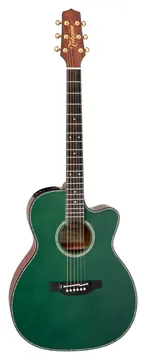 Takamine LTD2025