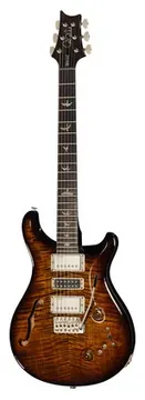 PRS Special Semi-Hollow BGWB