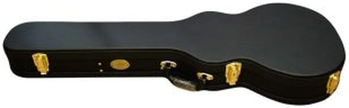 Ashton Apclp Les Paul Case