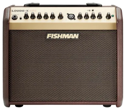 Fishman Loudbox Mini LBT500