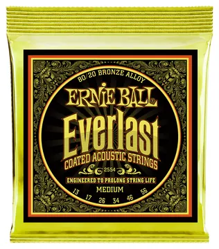 Ernie Ball 2554 Everlast Bronze 013-056 Coated Saiten für Akustikgitarre, Medium