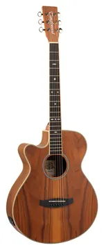 Tanglewood Reunion Pro 4CE AW LH
