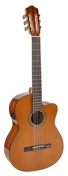 Salvador Cortez Student Series classic guitar CC-10CE (natural & Black)