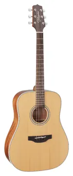 Takamine GD20-NAT
