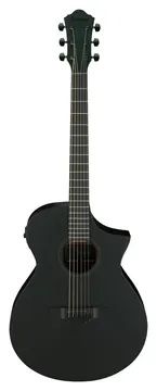 Ibanez AEWC621-BOT