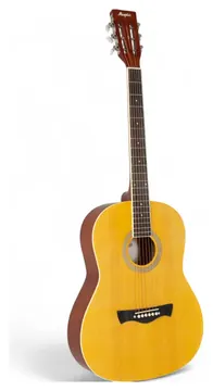Tagima Memphis AD40 NTS Natural Satin Aço