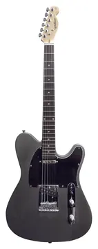 Gte100Gp Telecaster GTE-100 Waldman GTE100 GP