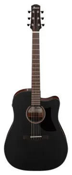 Ibanez AAD190CE-WKH