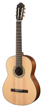 Walden N550EW Natura Elektro-Akustik-Gitarre 4/4 inkl. Tasche, natur
