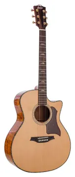 Bromo BAN2CE Danali Acoustic-Electric | Solid top, back and sides | Fishman Pick-up