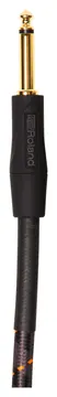 Roland RIC-G10