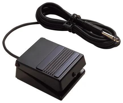 Roland DP-2