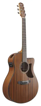 Ibanez AAM54CE-OPN