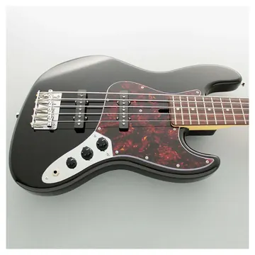 FGN Neoclassic NJB100RALV, Black 5 String Bass Guitar