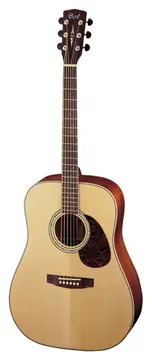 Cort Earth 100 Natural Satin