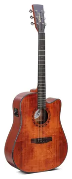 Waldman DCEX-1141 AM Amber
