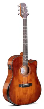 Waldman DCEX-1841 FSB Sunburst com Bag