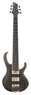 Ibanez BTB606-TGF Bass Workshop E-Bass 6-String, transparent gray flat