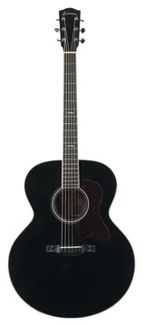 None Eastman AC330E Black