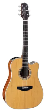 Takamine GD20CE NS