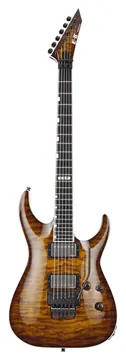 ESP 2Hori2Fr-Tesb Sunburst