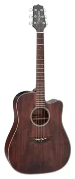 Takamine GD21CE SM Fosco & TP3G