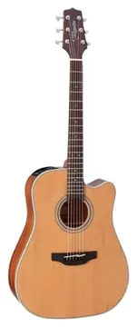 Takamine Folk Gd20ce Ns Natural Satin Tp4td (2906)