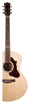 Godin Forum RN GT Electro-Acoustic Guitar ~ Natural