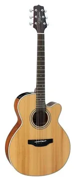 Takamine GN20CE-NS