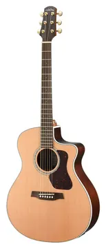 Walden G633CEW
