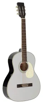 Richwood Heritage Series HSP-55-GS parlor guitar with solid spruce top
