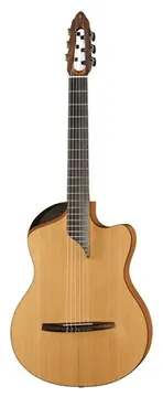 Nova Innovator w/PU