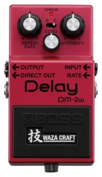Boss DM-2w Delay Effecten