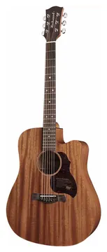 Richwood Master Series D-50-CE handmade dreadnought guitar