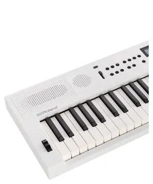 Roland GO:Keys 5 | Music Creation Keyboard | White