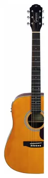 Giannini GDR Plus Folk com Afinador - Natural
