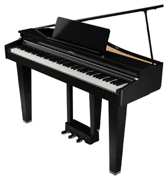 Roland GP-3 PE Digitalflügel