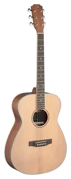 J.N GUITARS ASY-A Asyla-serie akoestische 4/4 auditorium gitaar met massief sparren bovenblad