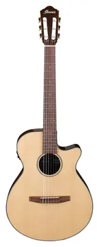 Ibanez AEG50N-NT Natural High Gloss Klassieke Gitaar met een Element