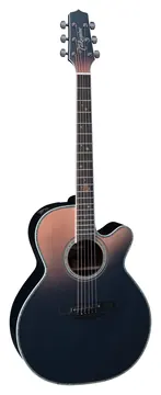 Takamine LTD 2024