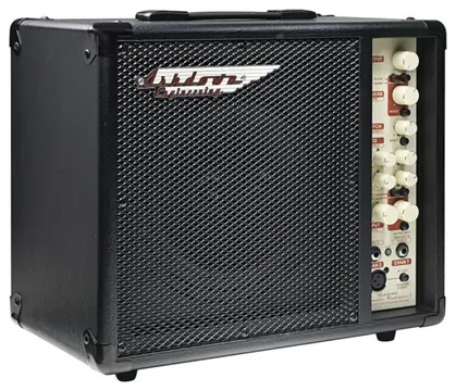 Ashdown Akustikverstärker Ashdown AAR-1V-R 100W