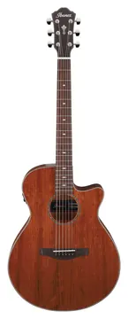 Ibanez AEG220 Natural Low Gloss