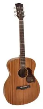 Richwood All Solid Master Series, Custom Shop, Auditorium OOO Acoustic Guitar, A-250